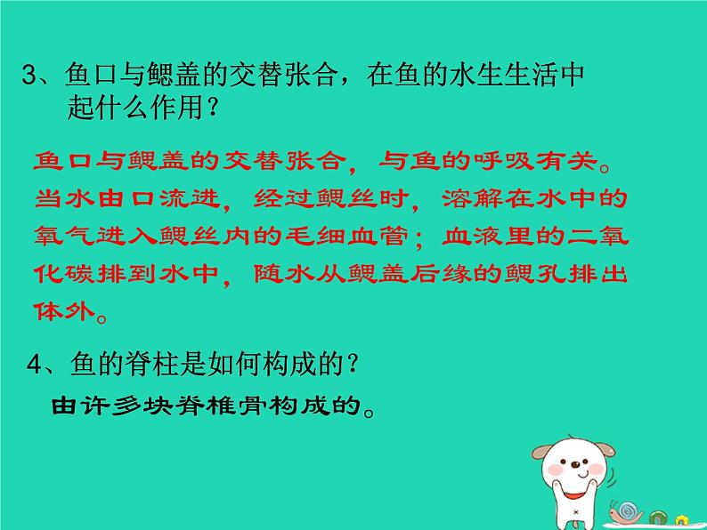 （新济南版）七年级生物上册2.2.2脊椎动物的主要类群鱼类、两栖类、爬行类课件第8页