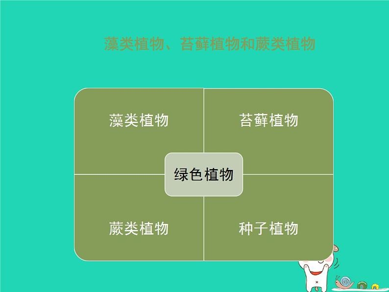 （新济南版）七年级生物上册2.1.1绿色植物的主要类群课件第6页