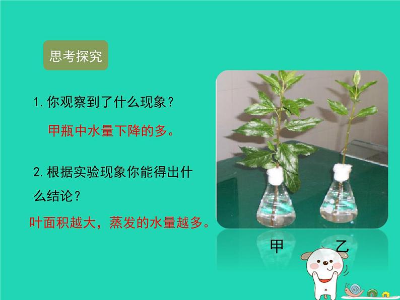 （新济南版）七年级生物上册2.1.2绿色植物的蒸腾作用课件05