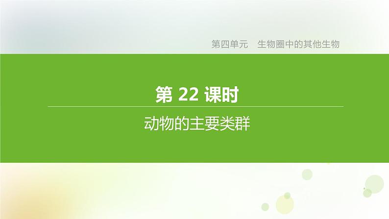江西专版中考生物复习第四单元生物圈中的其他生物第22课时动物的主要类群课件01