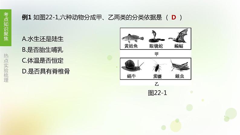 江西专版中考生物复习第四单元生物圈中的其他生物第22课时动物的主要类群课件03
