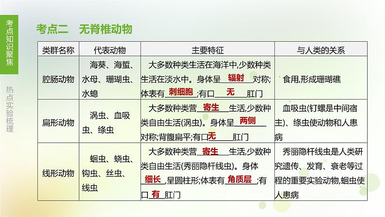 江西专版中考生物复习第四单元生物圈中的其他生物第22课时动物的主要类群课件04