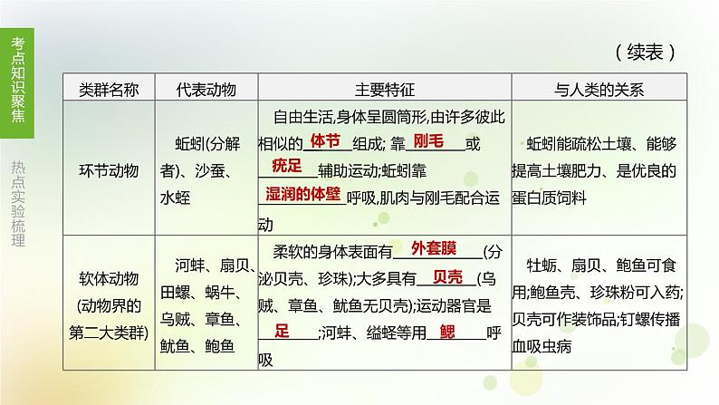 江西专版中考生物复习第四单元生物圈中的其他生物第22课时动物的主要类群课件05