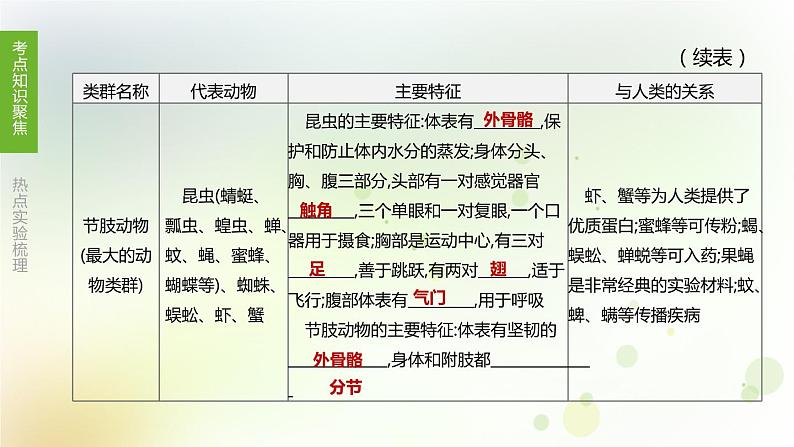 江西专版中考生物复习第四单元生物圈中的其他生物第22课时动物的主要类群课件06