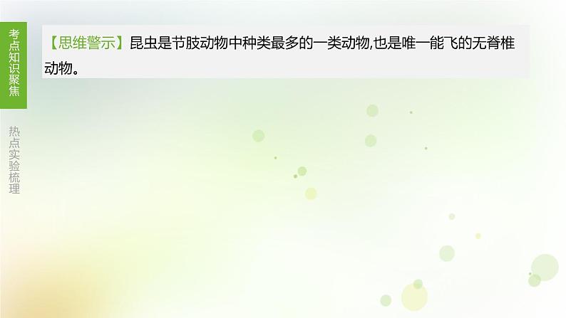 江西专版中考生物复习第四单元生物圈中的其他生物第22课时动物的主要类群课件07