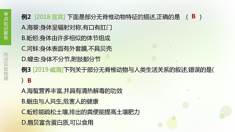 江西专版中考生物复习第四单元生物圈中的其他生物第22课时动物的主要类群课件08