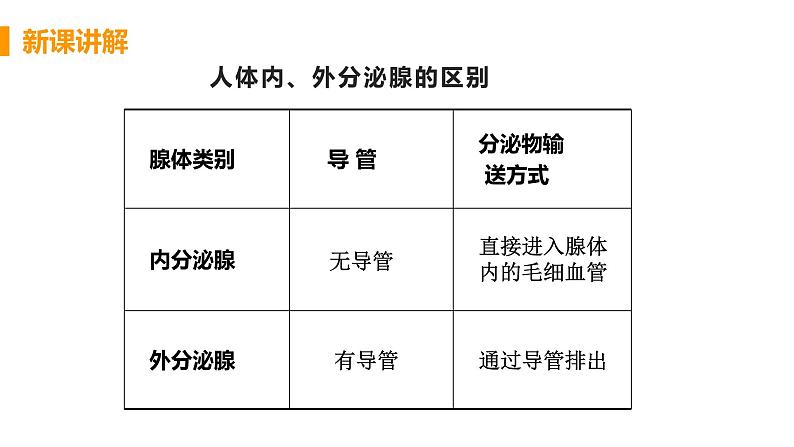 2021年初中生物人教版七年级下册  第四节  激素调节  课件06