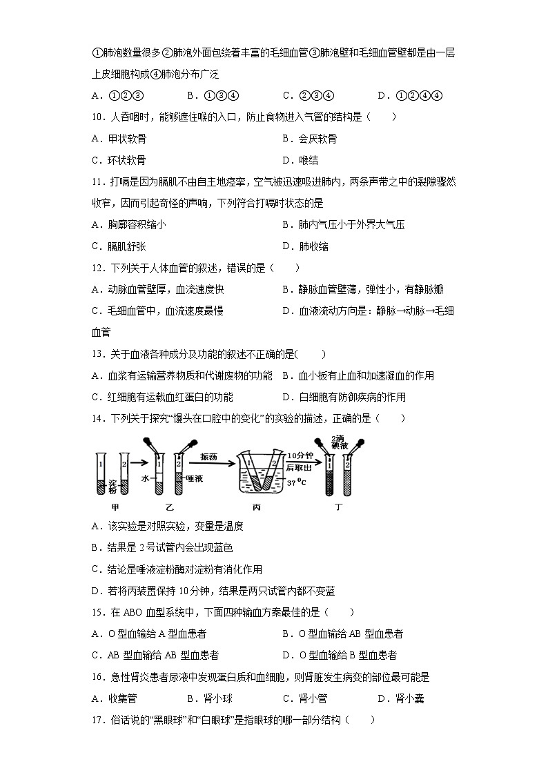 甘肃省天水市武山县2020-2021学年七年级下学期期末生物试题（word版 含答案）02