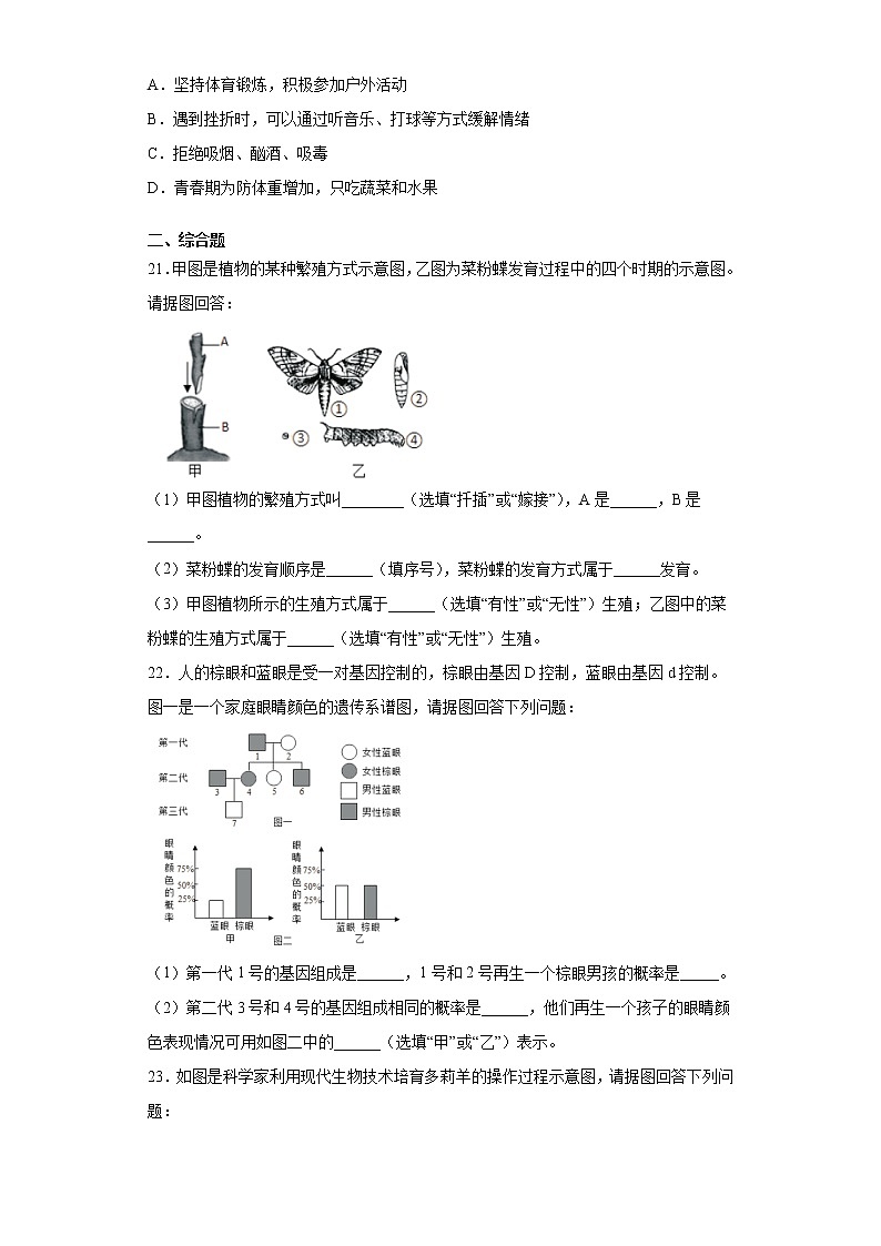 河南省周口市西华县2020-2021学年八年级下学期期末生物试题（word版 含答案）第3页