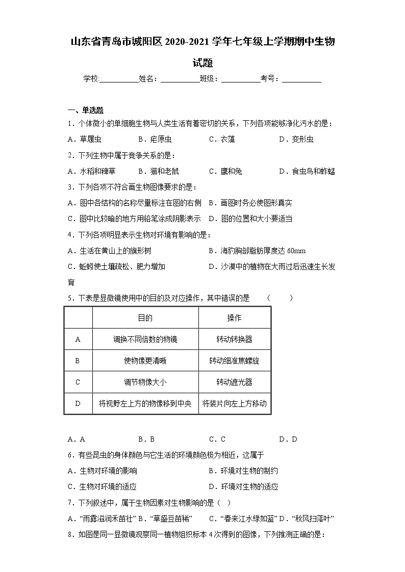 山东省青岛市城阳区2020-2021学年七年级上学期期中生物试题（word版 含答案）01