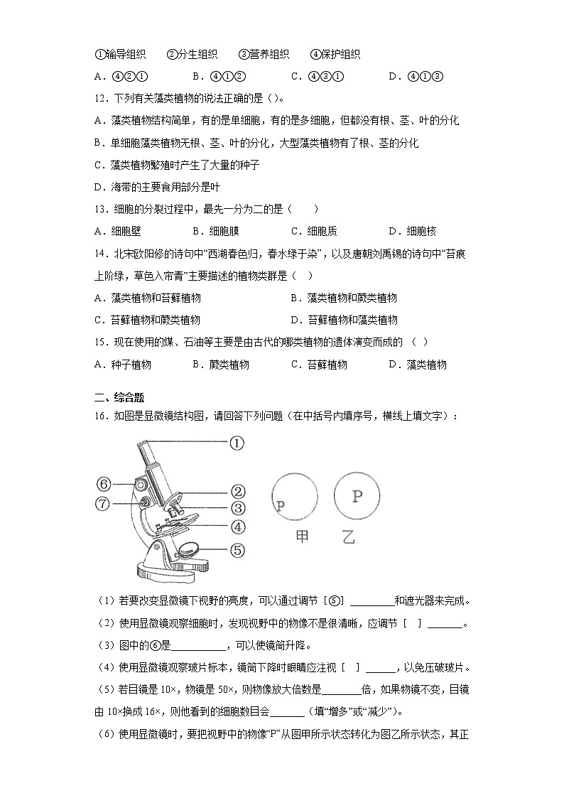 广西南宁市青秀区2020年七年级上学期期中生物试题（word版 含答案）第2页