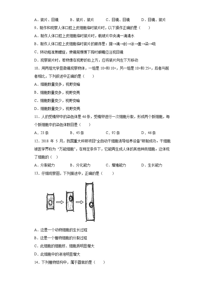 江苏省扬州市仪征市2020-2021学年七年级下学期期中生物试题（word版 含答案）02