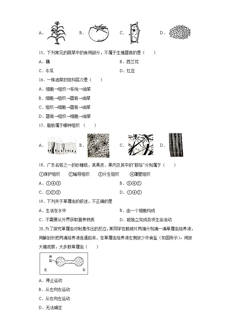 江苏省扬州市仪征市2020-2021学年七年级下学期期中生物试题（word版 含答案）03