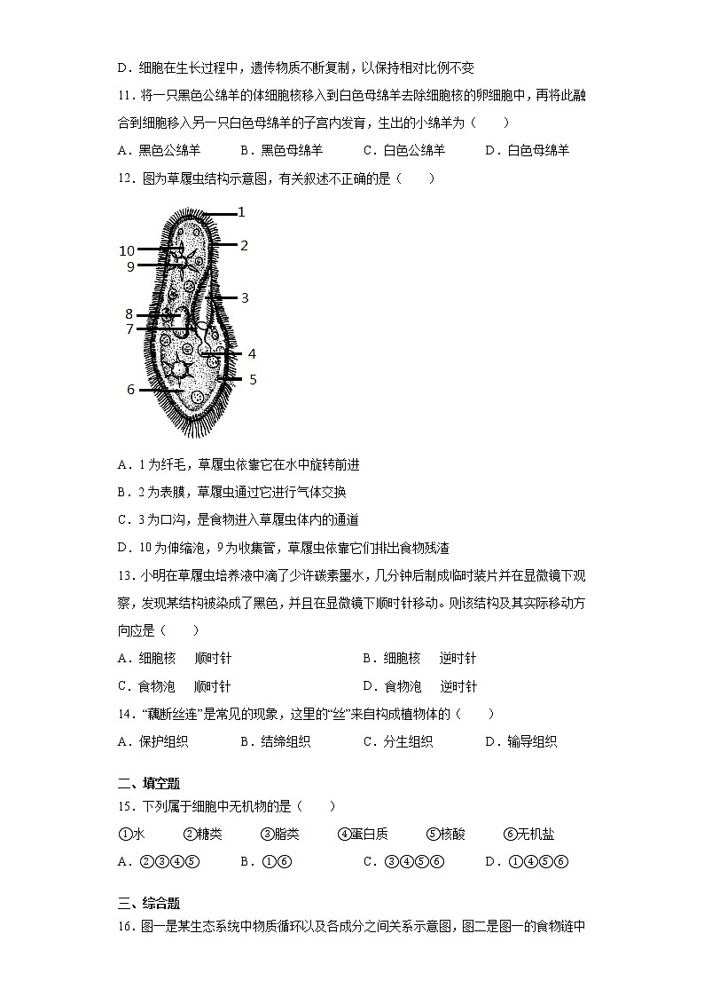 山东省泰安市东平县2020-2021学年六年级上学期期末生物试题（word版 含答案）第3页