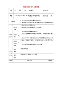 初中生物人教版 (新课标)七年级上册第一节 细胞通过分裂产生新细胞教案及反思