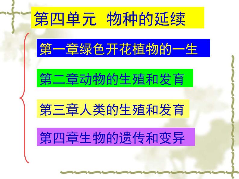 2020-2021学年济南版八年级生物上册总复习课件第1页