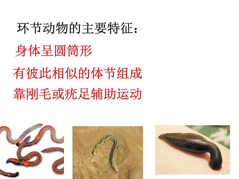 新人教版初中生物八年级上册 第五单元第一章复习课件PPT05