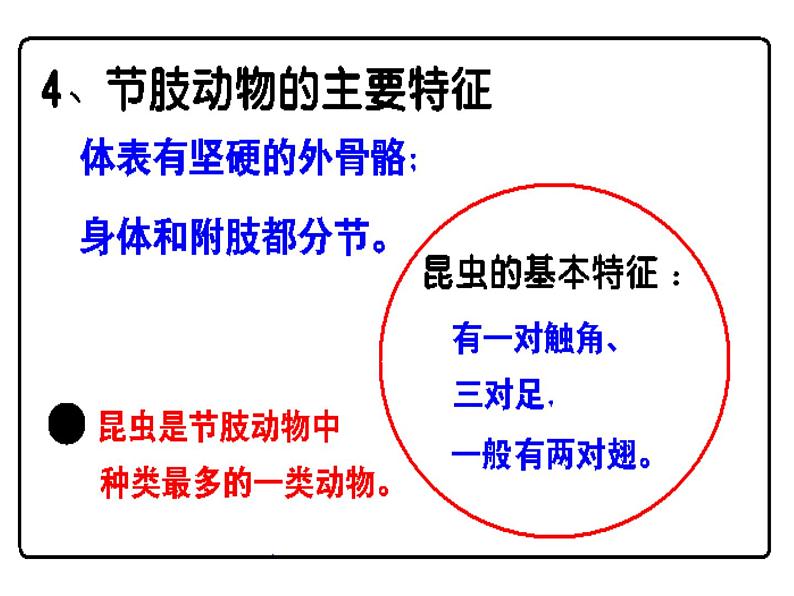 新人教版初中生物八年级上册 第五单元第一章复习课件PPT07