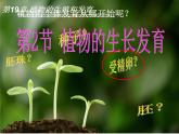 苏科版生物八年级上册 7.19.2 植物的生长发育 课件