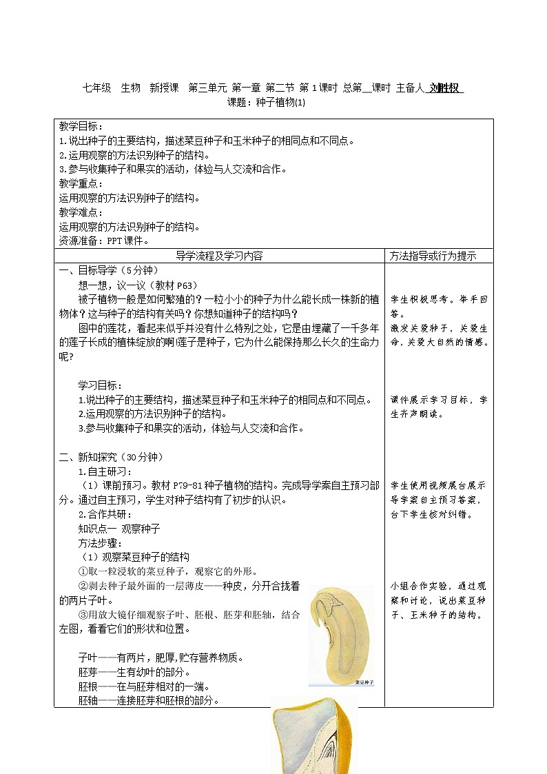 人教版初中生物2.1.2《种子植物》教案01