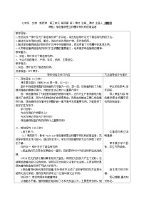 2020-2021学年第四章 绿色植物是生物圈中有机物的制造者教案