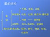 苏科版生物八年级上册 6.16.2 人体对信息的感知——眼与视觉 课件
