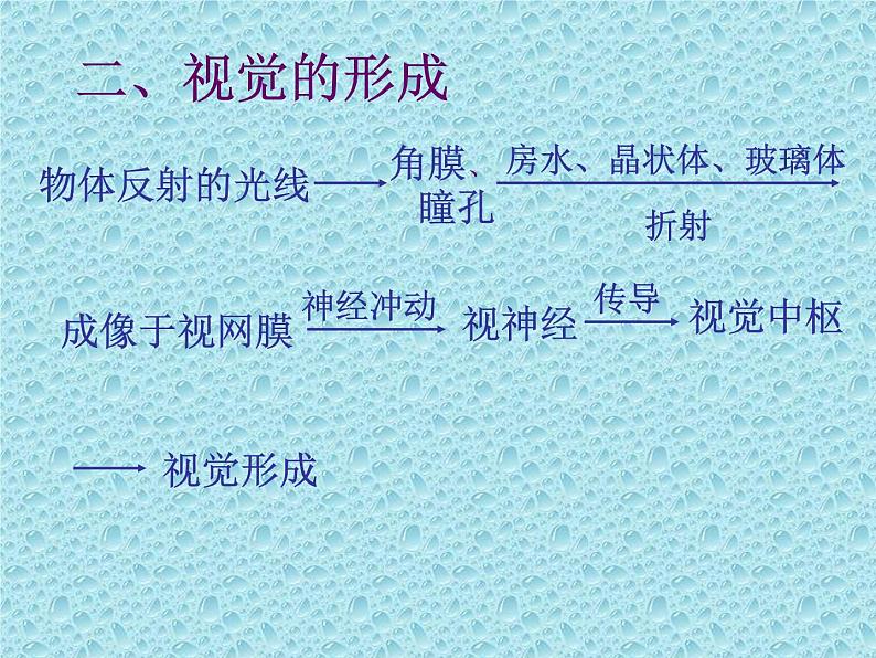 苏科版生物八年级上册 6.16.2 人体对信息的感知——眼与视觉 课件07