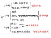 苏科版生物八年级上册 6.16.2 人体对信息的感知 课件