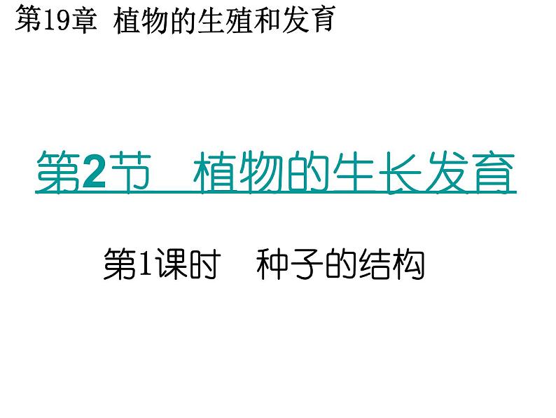 苏科版生物八年级上册 7.19.2 植物的生长发育--种子的结构 课件(1)01