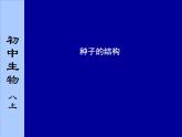 苏科版生物八年级上册 7.19.2 植物的生长发育--种子的结构 课件(3)