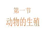 苏科版生物八年级上册 7.20.1 动物的生殖 课件(1)