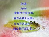 苏科版生物八年级上册 7.20.1 动物的生殖 课件(2)