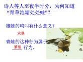 苏科版生物八年级上册 7.20.1 动物的生殖 课件(2)