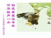 苏科版生物八年级上册 7.20.1 动物的生殖 课件