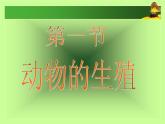 苏科版生物八年级上册 7.20.1 动物的生殖 课件