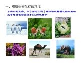 苏科版生物七年级上册 2.2.1 生物生存的环境  课件(1)