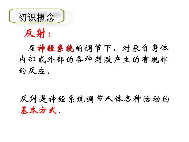 苏科版生物八年级上册 6.16.1 人体的神经调节-神经调节的基本方式 课件03