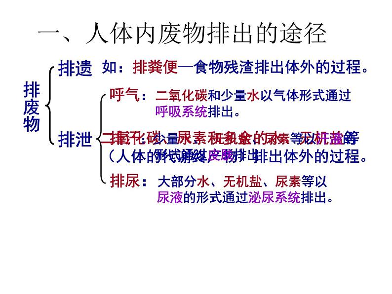 （新人教版）七年级生物下册第五章人体内废物的排出课件102