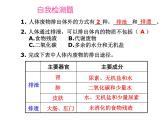 （新人教版）七年级生物下册第五章人体内废物的排出课件1