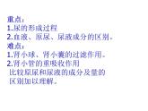 （新人教版）七年级生物下册第五章人体内废物的排出课件2