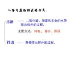 （新人教版）七年级生物下册第五章人体内废物的排出课件2