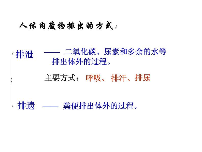 （新人教版）七年级生物下册第五章人体内废物的排出课件2第4页