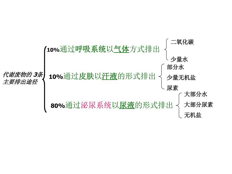 （新人教版）七年级生物下册第五章人体内废物的排出课件2第6页