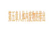 （新人教版）七年级生物下册第五章人体内废物的排出课件3