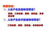 （新人教版）七年级生物下册第五章人体内废物的排出课件3