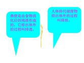 （新人教版）七年级生物下册第五章人体内废物的排出课件3