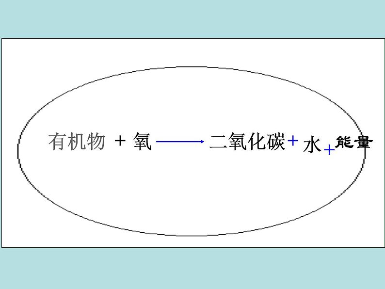 （新人教版）七年级下册第五章人体内废物的排出课件1（生物）02