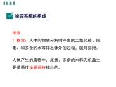 （新人教版）七年级下册第五章人体内废物的排出课件（生物）(1)