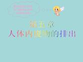 （新人教版）七年级下册第五章人体内废物的排出课件2（生物）