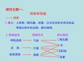 （新人教版）七年级下册生物圈中的人第五章人体内废物的排出教学课件（生物）